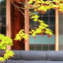 제미니 행정사합동사무소 이미지