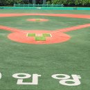 안양체육공원 인라인스케이트장