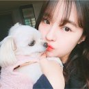 접도편의점 이미지