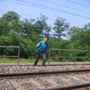 대철약수터 이미지