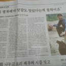 해든마당