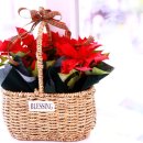 중앙아동복 이미지