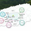 한라산둘레길 천아숲길 이미지