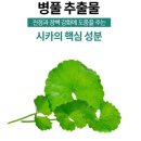 자연유래연구소 이미지