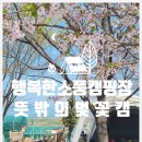 행복그자리 | 5살 아이와 강화도 키즈캠핑장, 행복한소풍캠핑장 벚꽃캠 후기