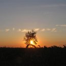 장원목욕탕 이미지