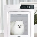 주식회사 페페 이미지