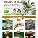 자연아 놀자 이미지