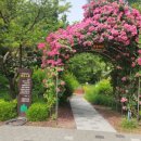 서울휘경초등학교 이미지