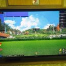 수 스크린골프장 이미지