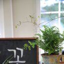 데이지플라워샵 이미지