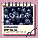 주식회사엔글로벌