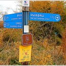 메추리 펜션 이미지