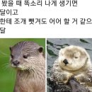 해달