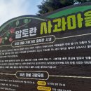 설맞이 특별 경매가 로 *****예산 황토사과 (햇님농원) 10박스 한정 이미지