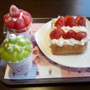 우정지하도 화장실 이미지