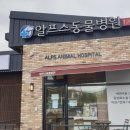 알프스동물병원 이미지