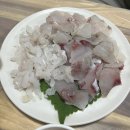자산동101 | 마산 이모카세 명가통술, 육회반한연어 갔다가 배터지게 먹고 옴