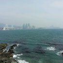 바다의향기 이미지