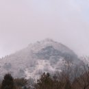천자봉 농장 Daum카페