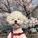 애니카랜드 만수점 이미지