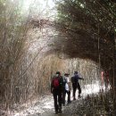 서포리아 이미지