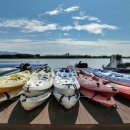 강변장어 이미지