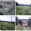 군남농장 이미지