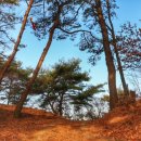 무한천농장 이미지