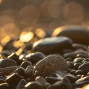 영어회화 왕초보 이미지