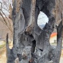 덕천1리경로당 이미지