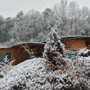 스머프팜 이미지