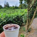 가대 농장 | 기대하고 갔는데..난 솔직히..부영농장 후기