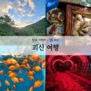 미선향테마파크 | [충북괴산]괴산여행 괴산가볼만한곳 성불산자연휴양림 충북아쿠아리움 가족여행 추천