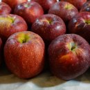 세영농장 이미지