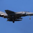 수원-0498 이미지