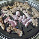 싱싱오리 이미지