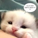 오빠짐스튜디오 이미지