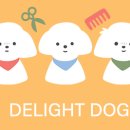 딜라잇독 이미지