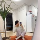 스테이공유논현
