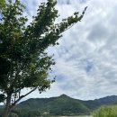 팡시온 | [대전] 대청호 팡시온 카페 후기 / 드라이브 코스 추천