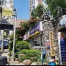 이강식 복싱교실 이미지