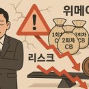 위메이드 뉴스 모음: 위메이드플레이 플레이링스 10년 만에 공동대표 체제 전환(2025.5.19)