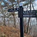 통안교 Daum카페