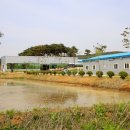 (주)서산생강한과 영이식품 이미지