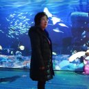 해양빌딩 이미지