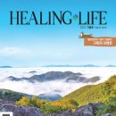 세이프플란트치과의원 이미지