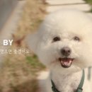 (주)여행닥터