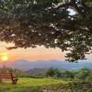 동산항공여행사 이미지