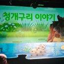 레오문화홀 | 25.07 대백레오문화홀 청개구리이야기 대구 아기인형극 후기